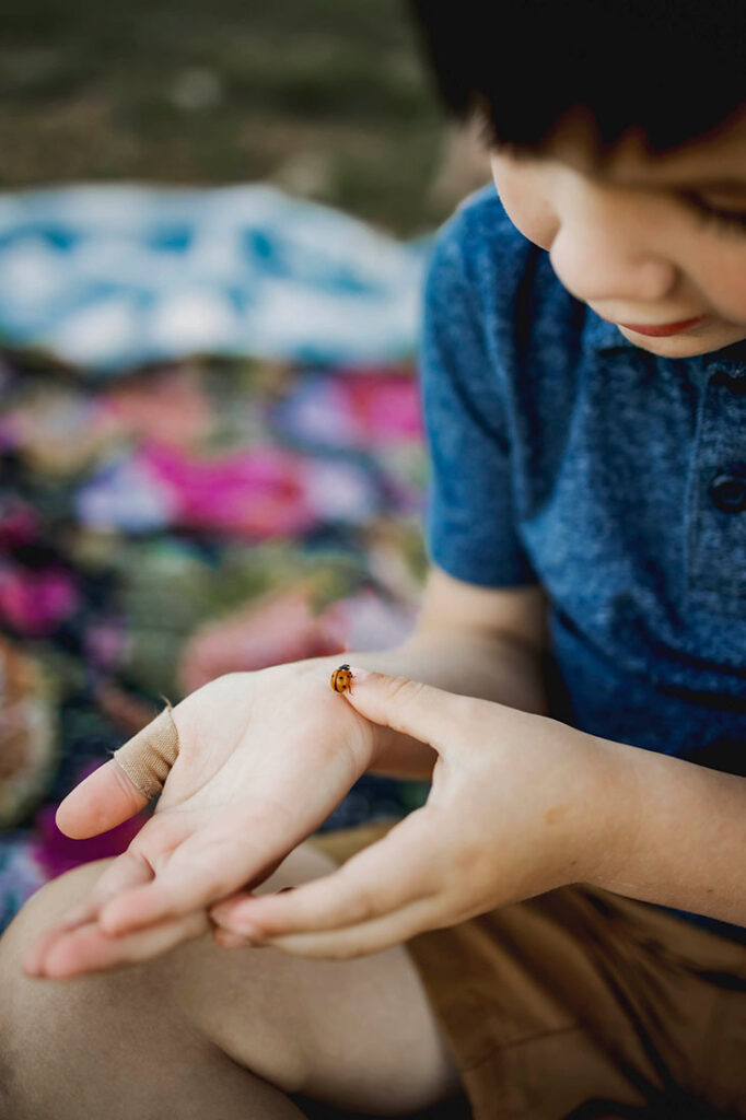 A four year old boy plays with a ladybug while at a session with Anna Roorda Photography in Plano, TX at arbor hills nature preserve.