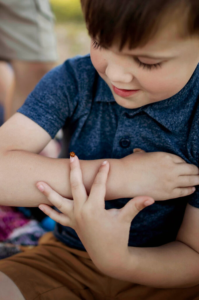 A four year old boy plays with a ladybug while at a session with Anna Roorda Photography in Plano, TX at arbor hills nature preserve.